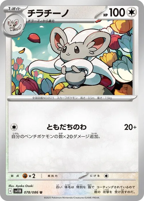 Cinccino