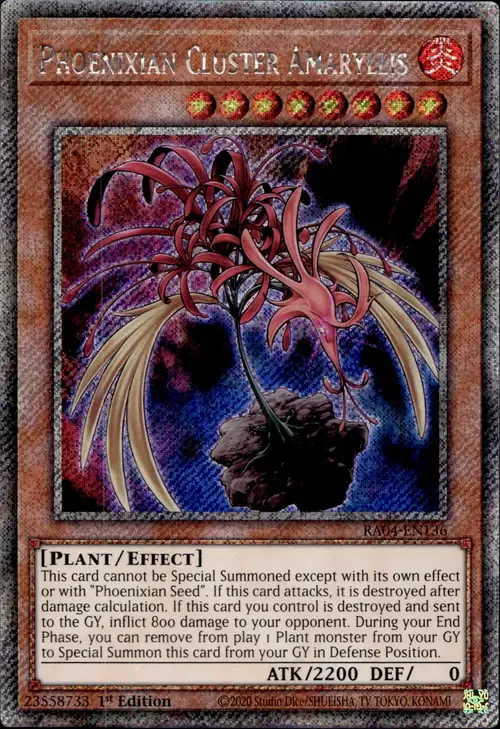 Phoenixian Cluster Amaryllis