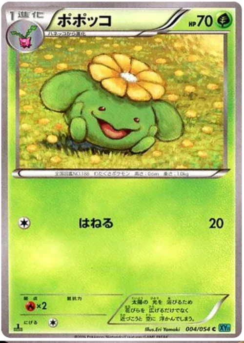 Skiploom