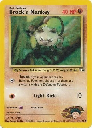 Brock's Mankey