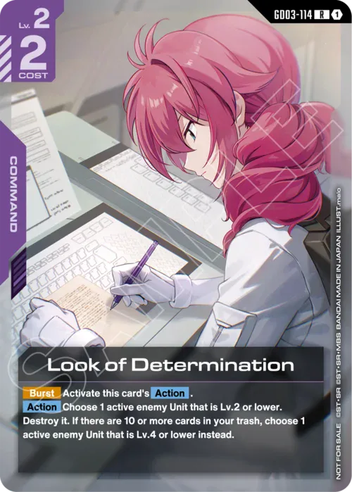 Look of Determination