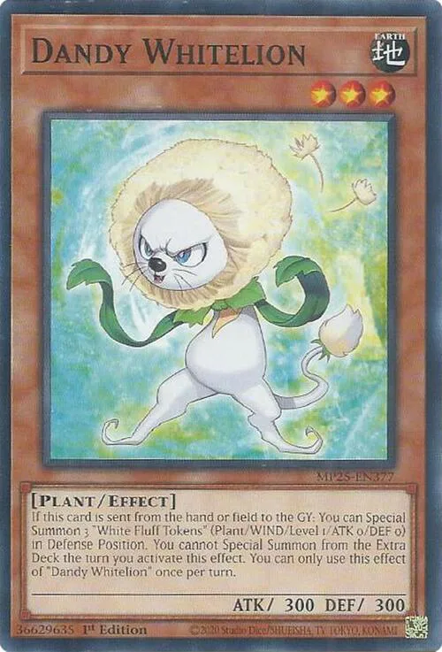 Dandy Whitelion