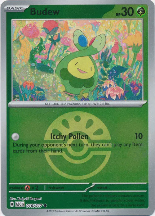 Budew