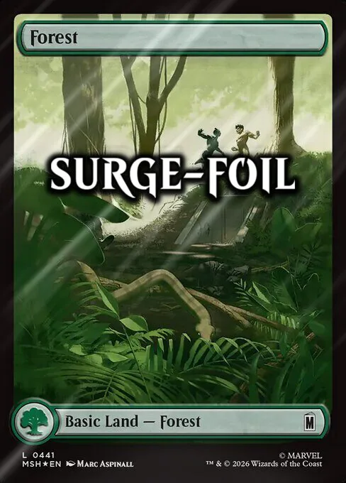 Forest
