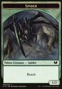 Spider // Bear