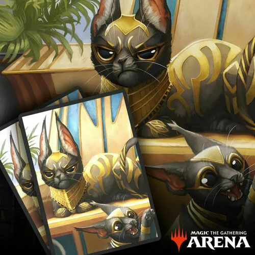 Arena Code Card