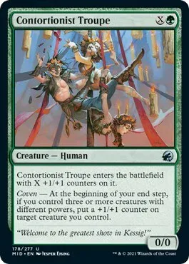 Contortionist Troupe