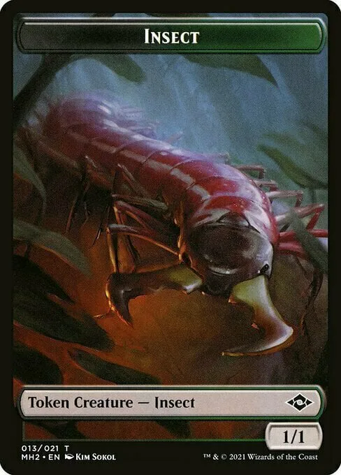 Insect