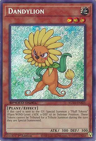 Dandylion