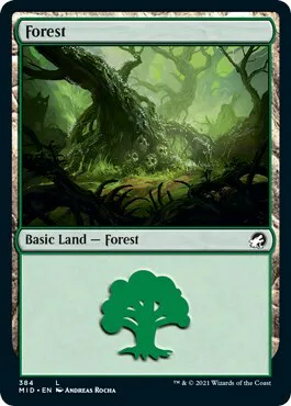 Forest
