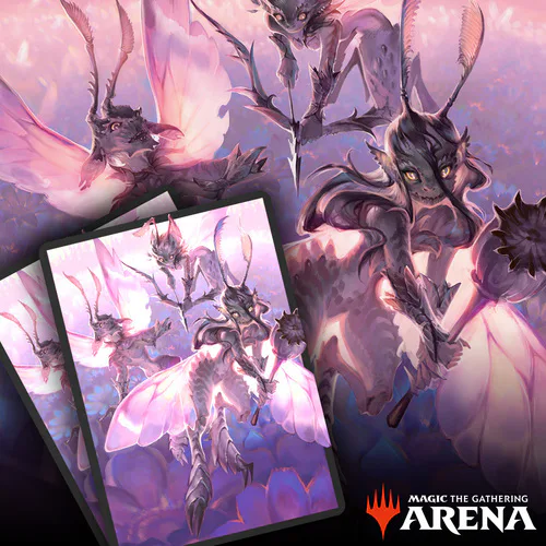 Arena Code Card