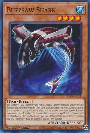 Buzzsaw Shark