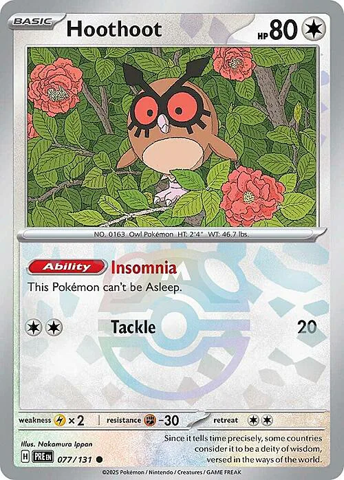 Hoothoot