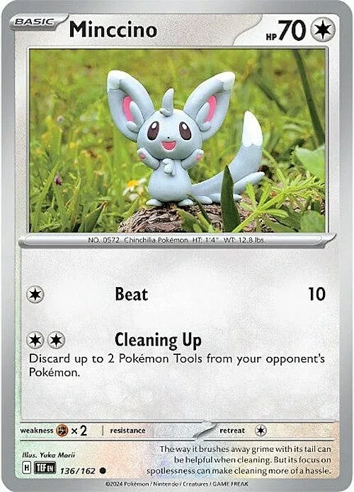 Minccino