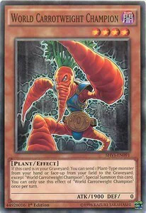 World Carrotweight Champion