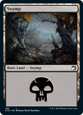 Swamp