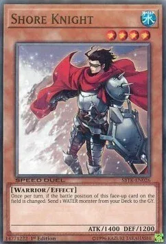 Shore Knight