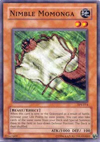 Nimble Momonga