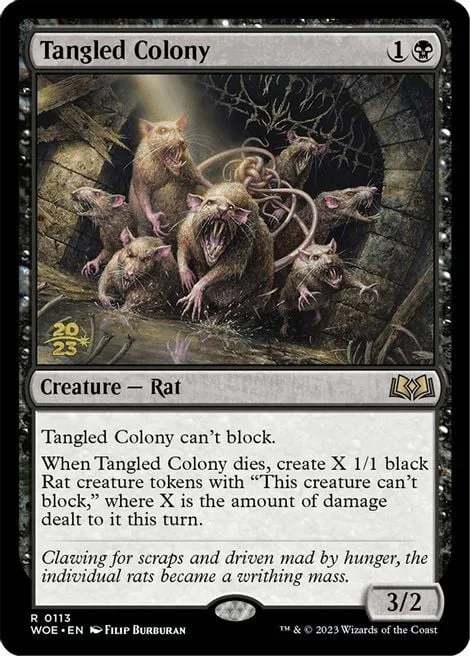 Tangled Colony