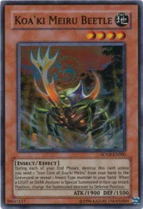 Koa'ki Meiru Beetle