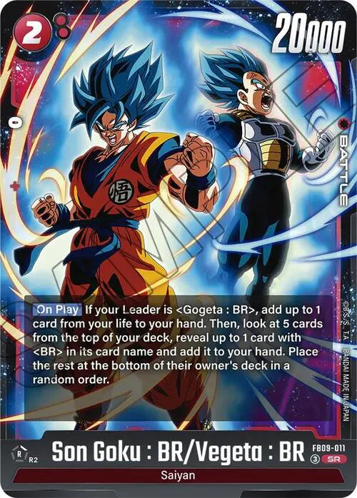 Son Goku : BR/Vegeta : BR