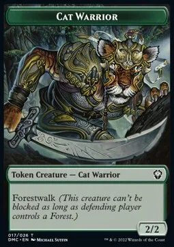 Cat Warrior