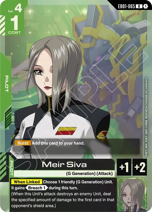 Meir Siva