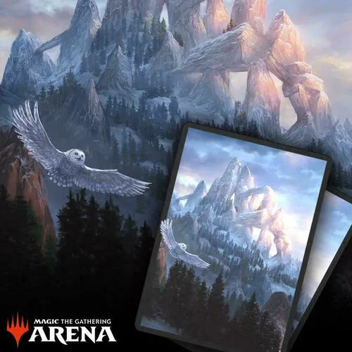 Arena Code Card