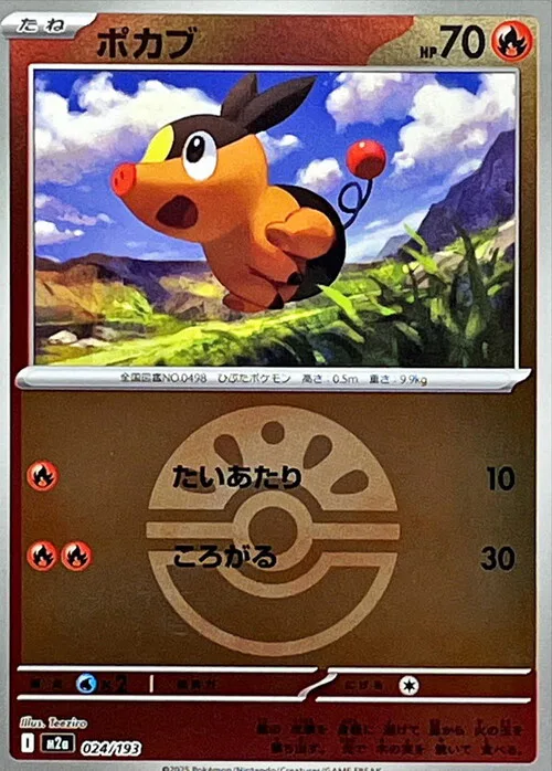 Tepig