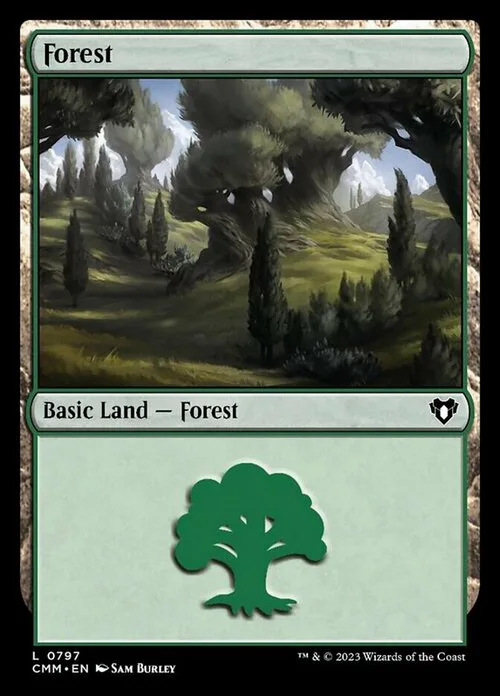 Forest