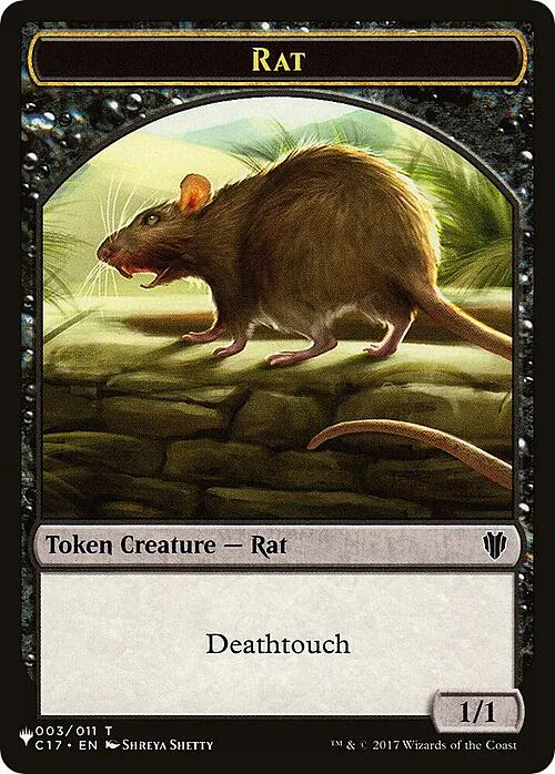 Rat // Cat