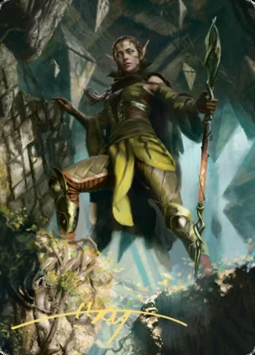 Art Series: Nissa of Shadowed Boughs