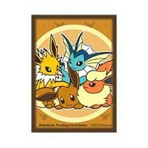 65 Eevee Friendship Sleeves