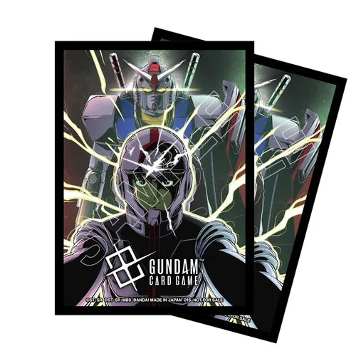 10 Regional Championships Sleeves