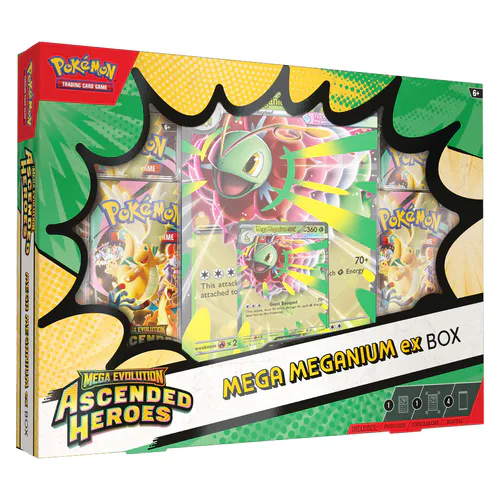 Ascended Heroes Mega Meganium ex Box