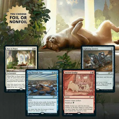Secret Lair Drop Series: Every Dog Has Its Day Set