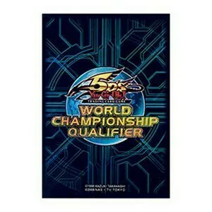 15 WCQ 2010 Sleeves