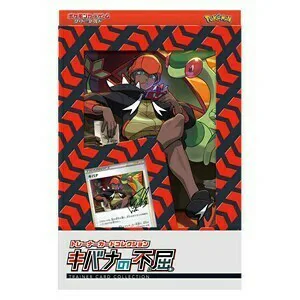Raihan's Indomitability Trainer Card Collection