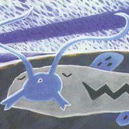 Copertina EX Dragon