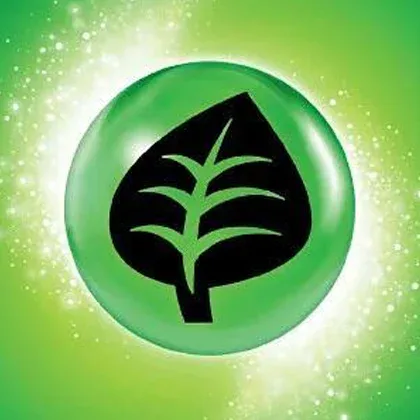 Copertina Mega Evolution Energies