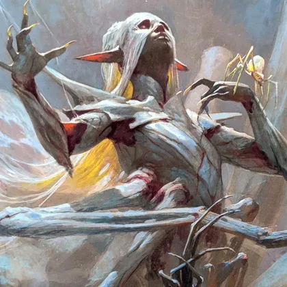 Copertina D&D: Adventures in the Forgotten Realms Collectors