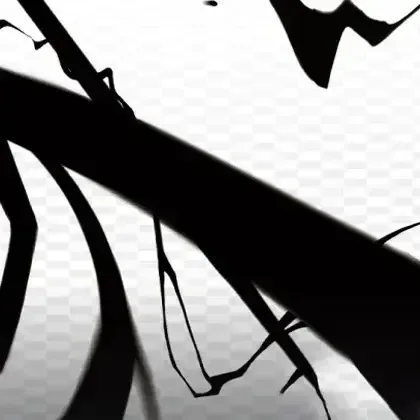 Copertina Black Bolt | sv11B - Poké Ball Reverse Holo