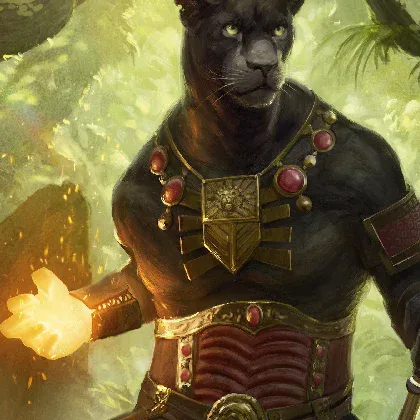 Copertina Commander 2018